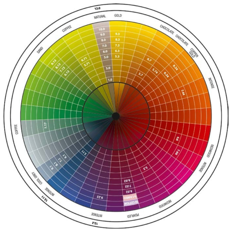 Koło Ostwalda z wpisanymi oznaczeniami poszczególnych kolorów z palety Artego Re_Color