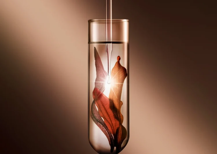 Montibello HOP Ultra Repair Overnight Serum 100ml - regenerujące serum na noc do włosów suchych i zniszczonych hurtowniacora.pl 9